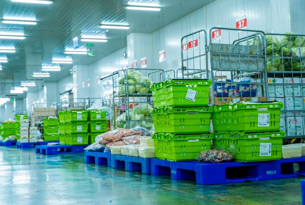 Thiết kế thi công kho lạnh chứa rau củ quả