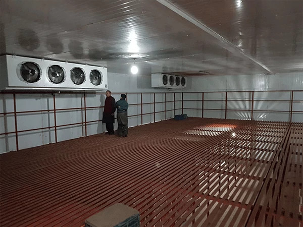 Thiết kế lắp đặt kho lạnh mini