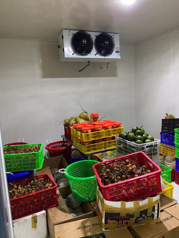 Đơn vị lắp đặt kho lạnh bảo quản trái cây uy tín
