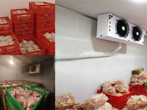 kho lạnh bảo quản thịt cá