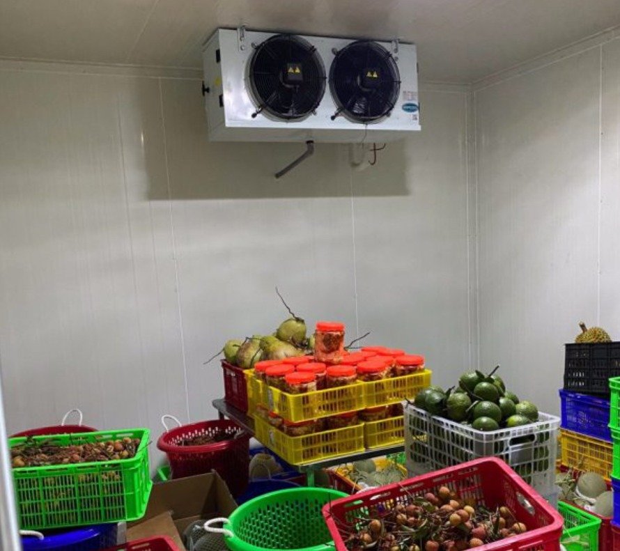 kho đông lạnh mini