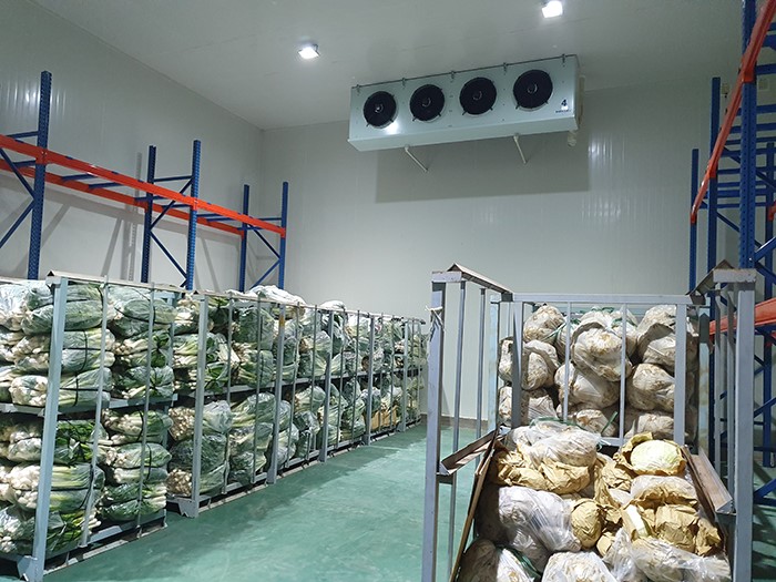 thợ sửa chữa kho lạnh TPHCM