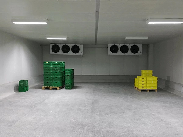 Kho lạnh giá rẻ tại TPHCM