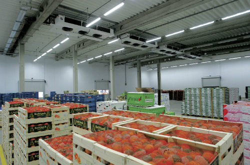 lắp đặt kho lạnh bảo quản trái cây